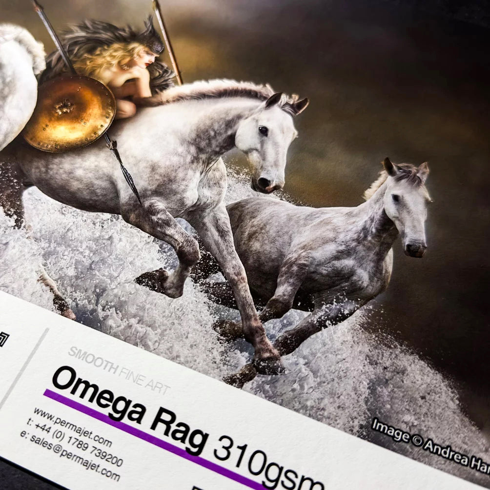 Omega Rag 310gsm